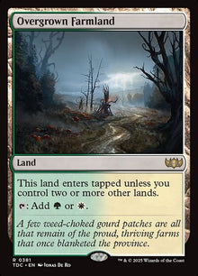 381-overgrownfarmland
