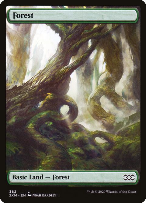 382-forest