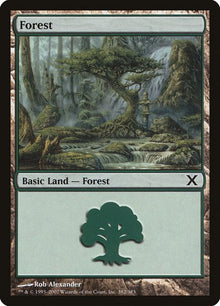 382-forest