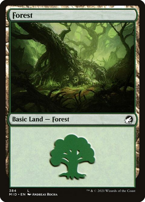384-forest