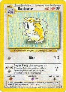 40-raticate