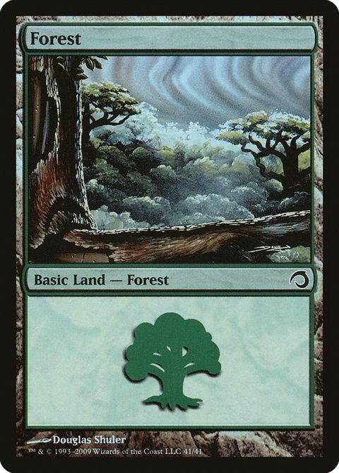 41-forest