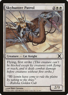 41-skyhunterpatrol
