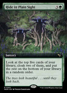 410-hideinplainsight
