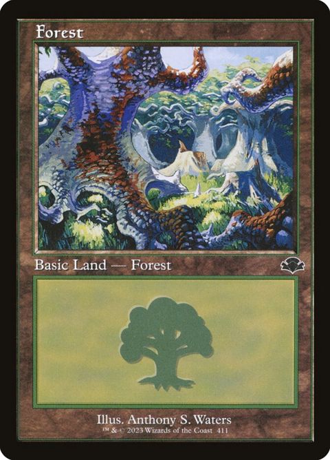 411-forest