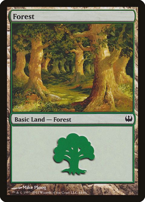 44-forest