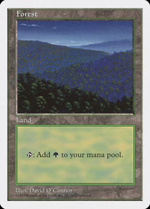447-forest