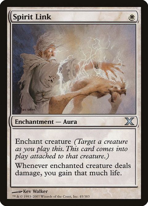 45-spiritlink