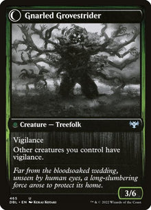 465-dormantgrovegnarledgrovestrider-b