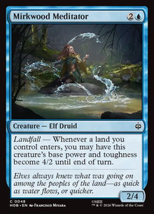 48-mirkwoodmeditator