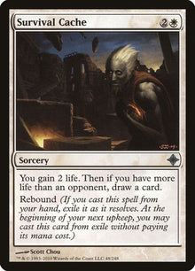 48-survivalcache