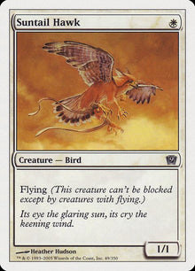 49-suntailhawk
