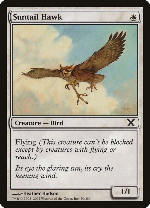 50-suntailhawk