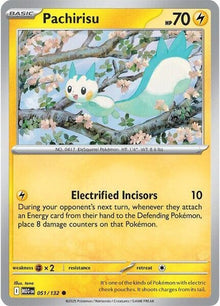 51-pachirisu