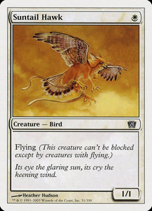 51-suntailhawk