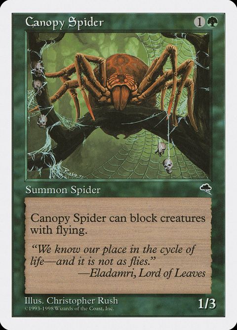 52-canopyspider