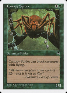 52-canopyspider