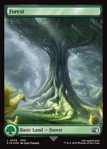 576-forest