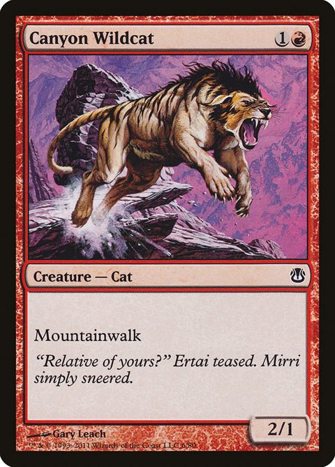 6-canyonwildcat