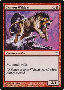 6-canyonwildcat