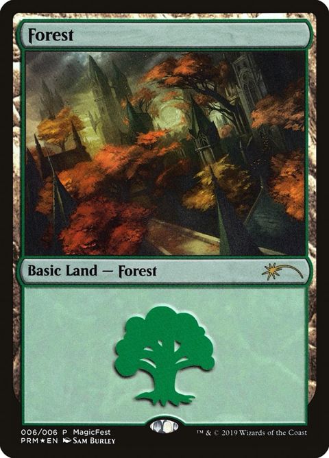 6-forest
