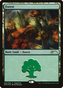 6-forest
