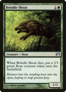 60-brindleshoat