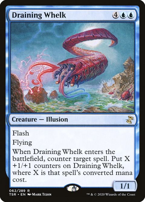 62-drainingwhelk