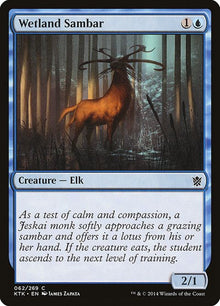 62-wetlandsambar