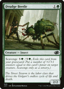 649-drudgebeetle