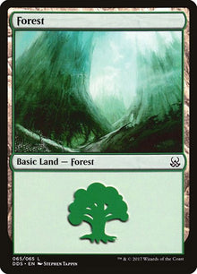 65-forest