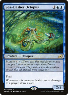 66-seadasheroctopus