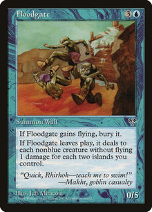 67-floodgate