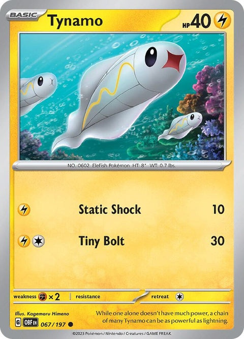 67-tynamo