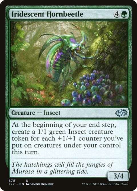 678-iridescenthornbeetle