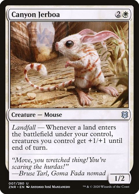 7-canyonjerboa