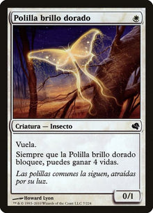 7-goldenglowmoth