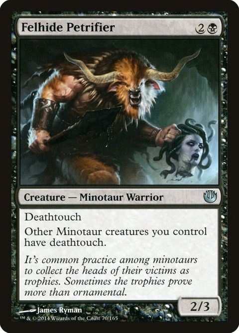 70-felhidepetrifier