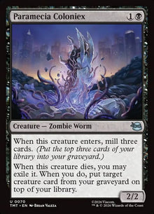 70-parameciacoloniex