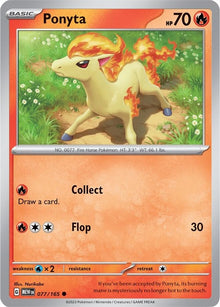 77-ponyta