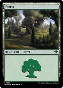 797-forest
