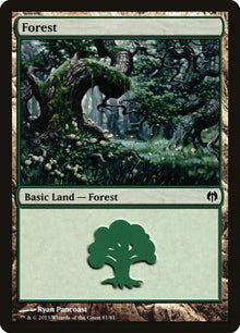 81-forest