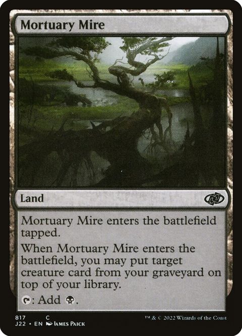 817-mortuarymire