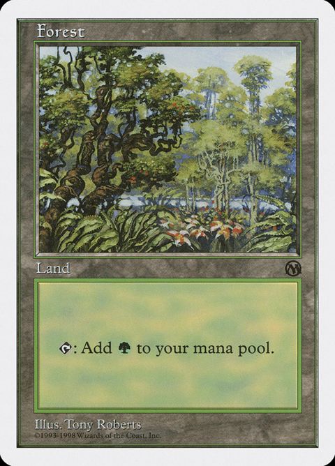 84-forest