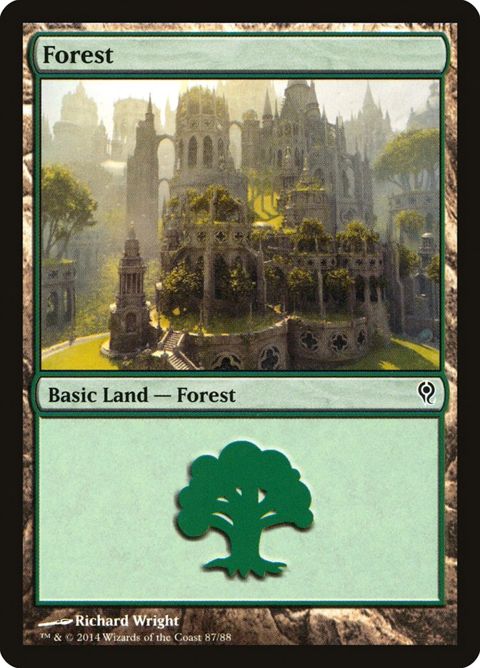 87-forest