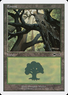 88-forest