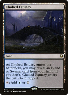 886-chokedestuary