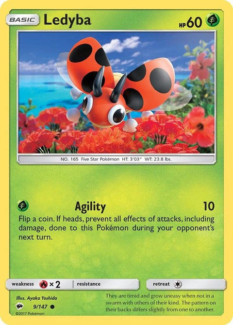 9-ledyba