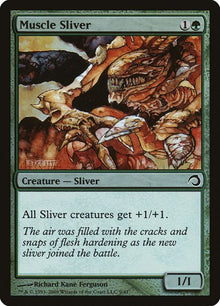 9-musclesliver