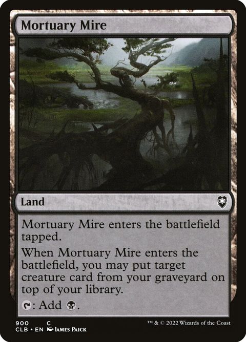 900-mortuarymire